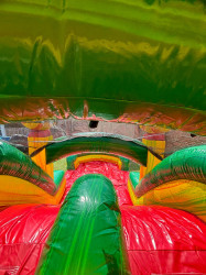 WC5 AFRICA SAFARI DUAL LANE COMBO BOUNCE HOUSE WITH SLIDE (W