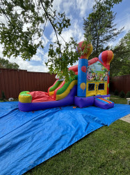 ANIMALS ZOO  THEME BOUNCE HOUSE WITH SLIDE (Water or D