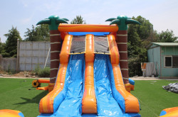 PALM TREES CALIFORNIA DUAL LANE COMBO BOUNCE HOUSE (Water
