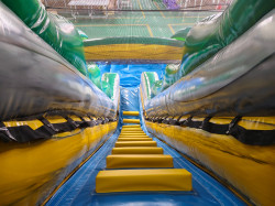 WATERSLIDE 20 FT DUAL LANE TROPICAL PALM TREES