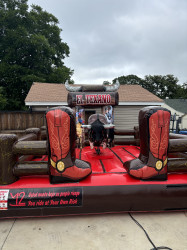 MECHANICAL BULL