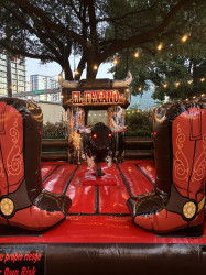 MECHANICAL BULL