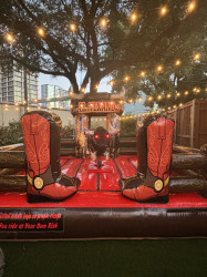 IMG 5595 1759428726 MECHANICAL BULL